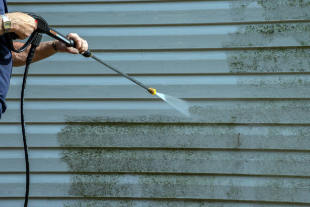 Best Deck Cleaning Services  in Schaumburg, IL