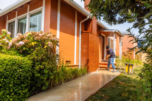 Best Roof Power Washing Services  in Schaumburg, IL