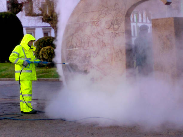 Best House Pressure Washing  in Schaumburg, IL