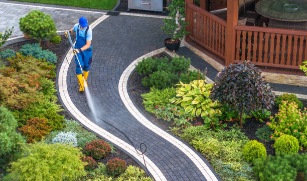 Best Affordable Pressure Washing  in Schaumburg, IL